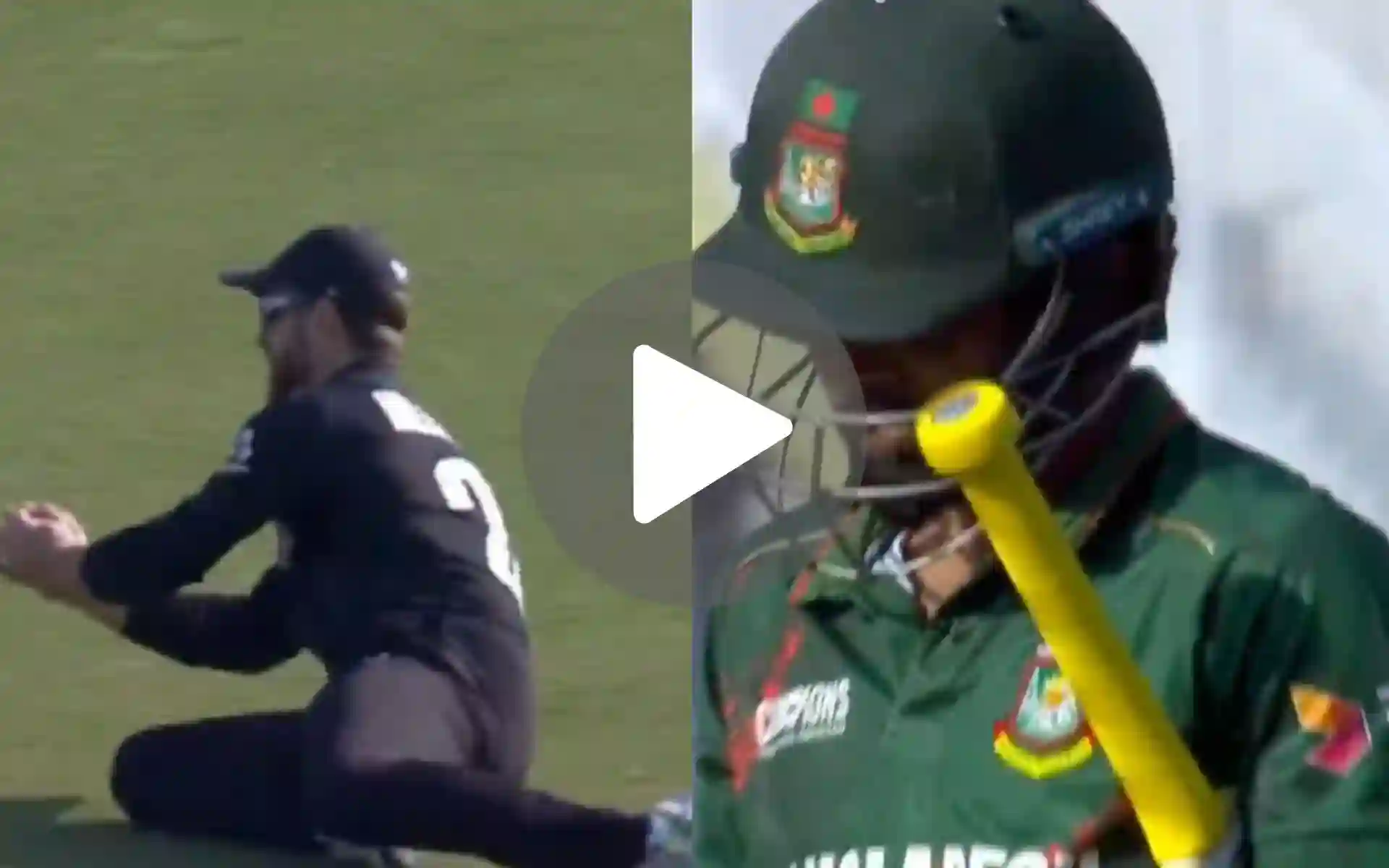 [Watch] Kane Williamson Puts His Body On The Line To Send Bangladesh's Hero Back To The Hut